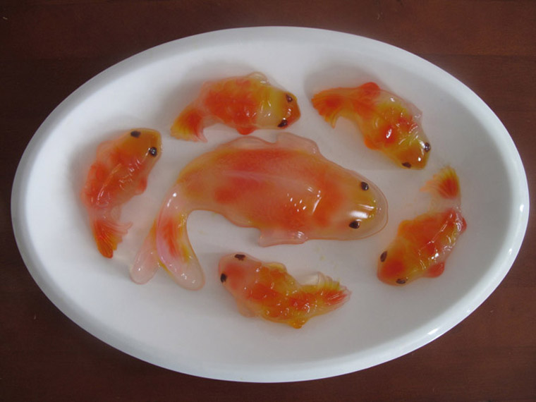 Koi Fish Jelly Agar Agar