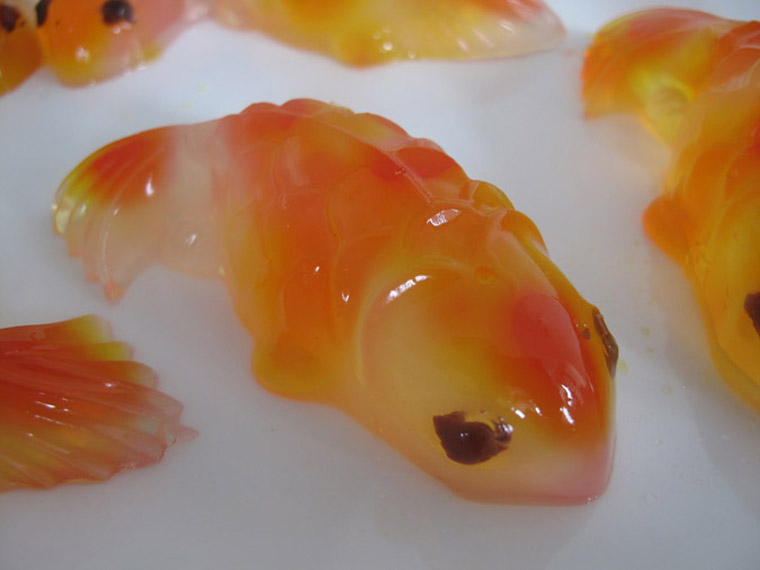 Koi Fish Jelly Agar Agar