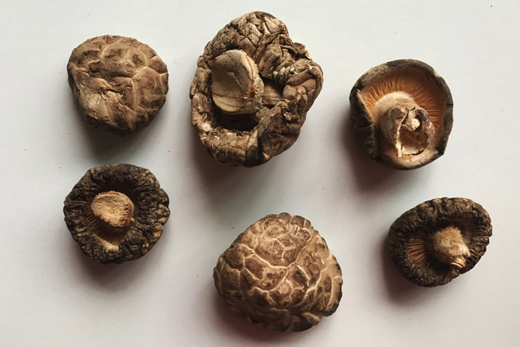 Dried chinese mushrooms - Shittake