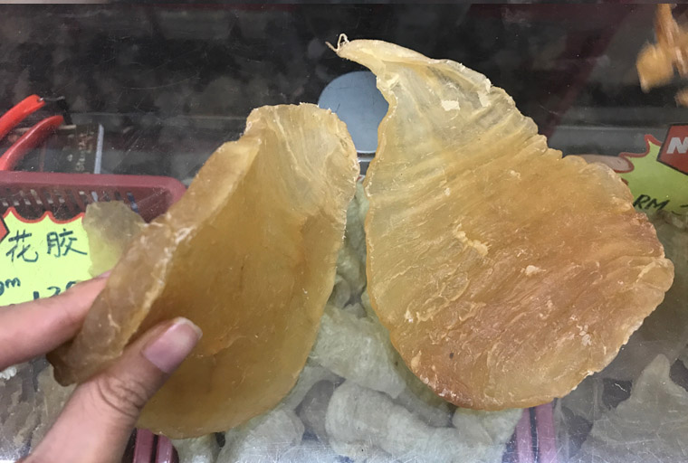Rybí tlamka - Fa Gau - 花膠