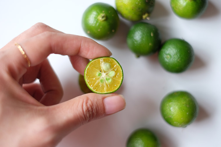 Calamansi in malay