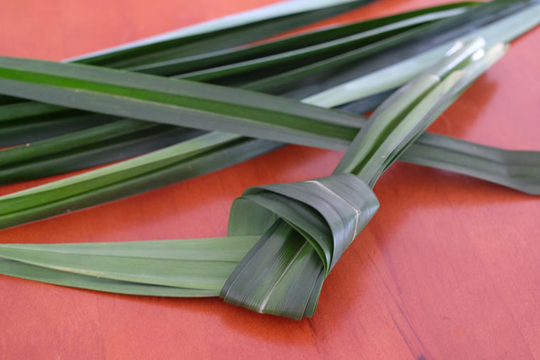 Pandan leaves: uses, health benefits, and storage - New 