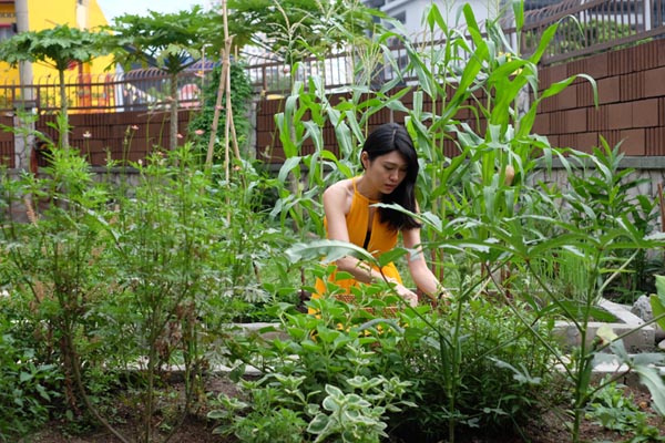 edible garden