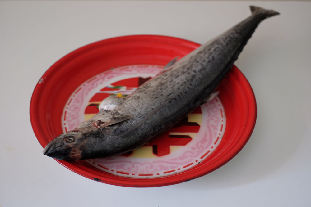 spanish mackerel tenggiri Make fish paste from scratch from a whole fresh fish