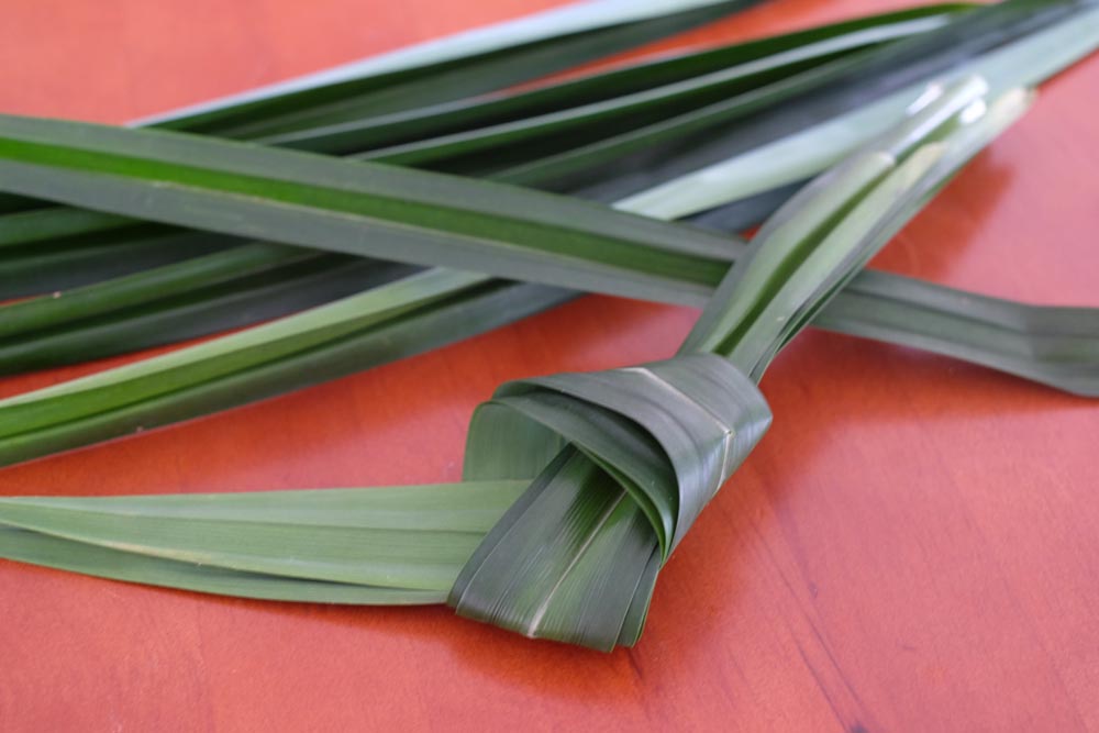 pandan leaves